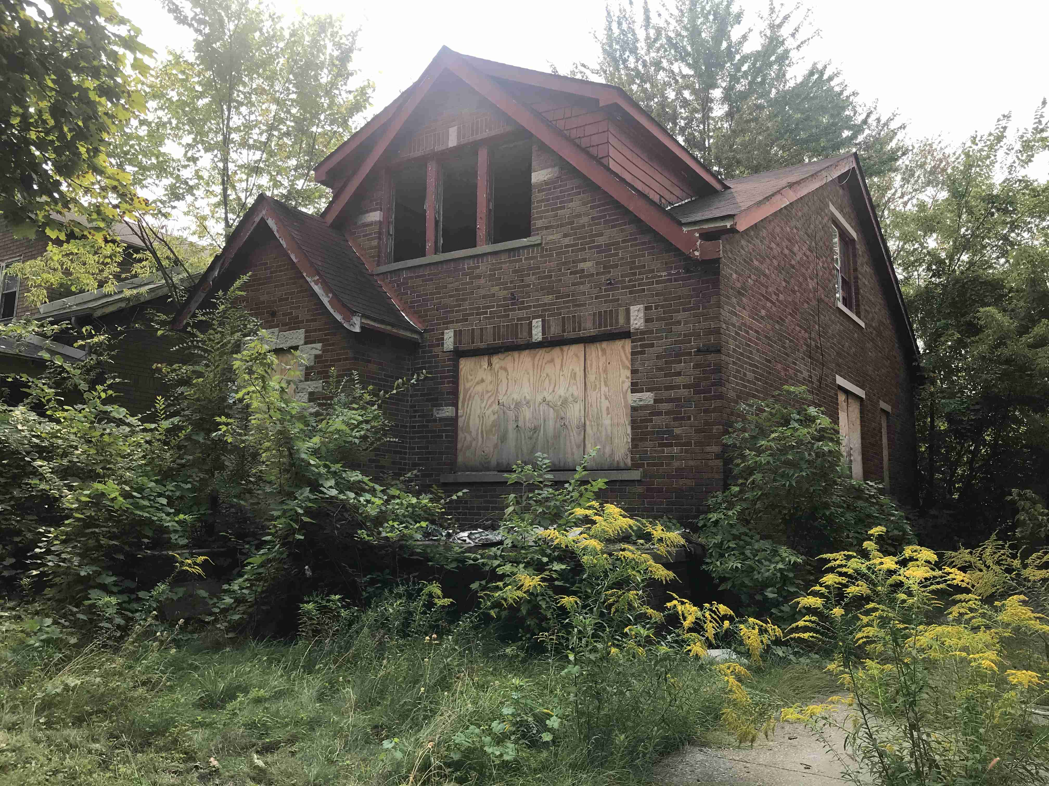 Photo Sep 15, 3 24 20 PM.jpg